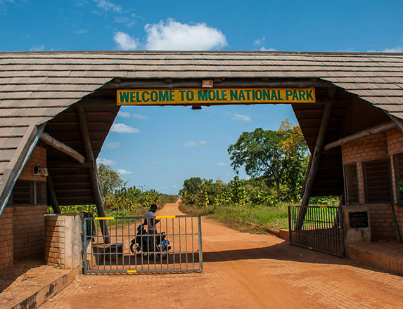 Mole National Park